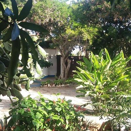 Geriba House Buzios Hotel Екстериор снимка